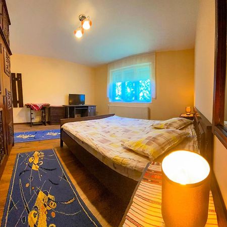 Hotel Casa Popa à Cîrţişoara Extérieur photo